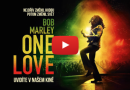 ONE LOVE: Bob Marley